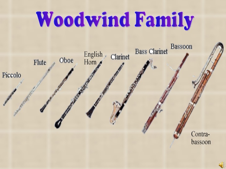 Woodwind Family Instruments List